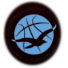 https://img.luxihanyang.com/img/basketball/team/1a45d903dafdcc026ec9809d9916a681.png