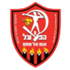 https://img.luxihanyang.com/img/football/team/0db06bd7ec6e2d578b836885d675b6d1.png